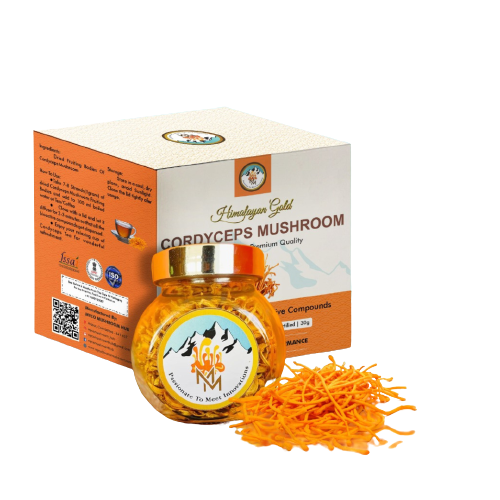 Cordyceps Products